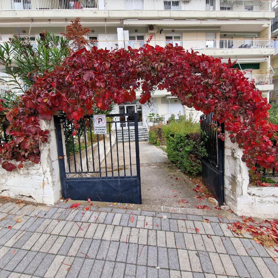 Best Minimal Studio In Xanthi - Myhomee Ngoại thất bức ảnh